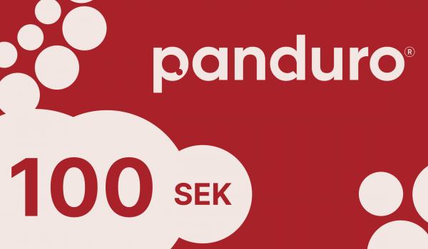 Panduro Gift Card 100 SEK
