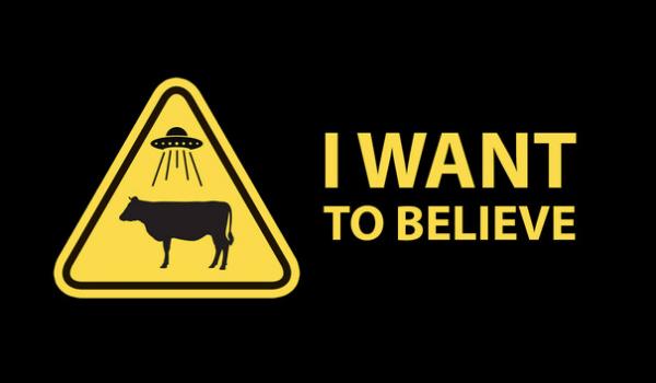 I Want to Believe (PC)