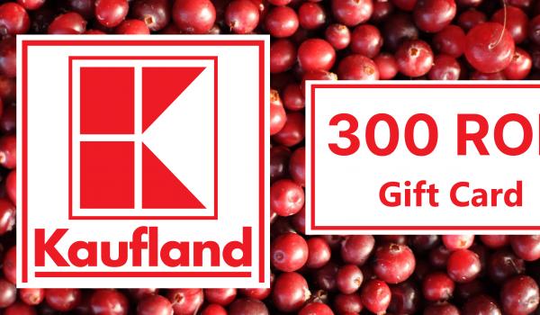 Kaufland Gift Card 300 RON