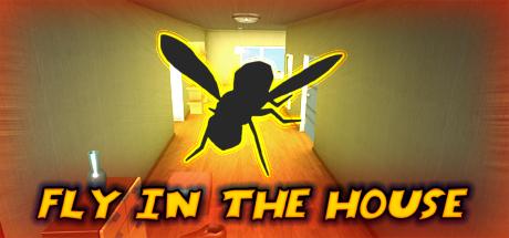 Fly in the House (PC)