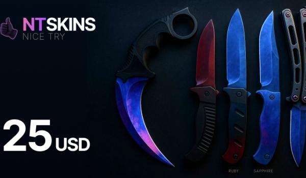 NTSkins Gift Card 25 USD
