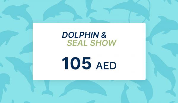 Dolphin and Seal Show Gift Card 105 AED