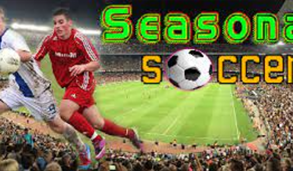 Seasonal Soccer (PC)