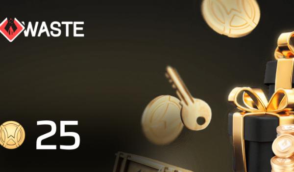 Skinwaste Gift Card 25 Coins