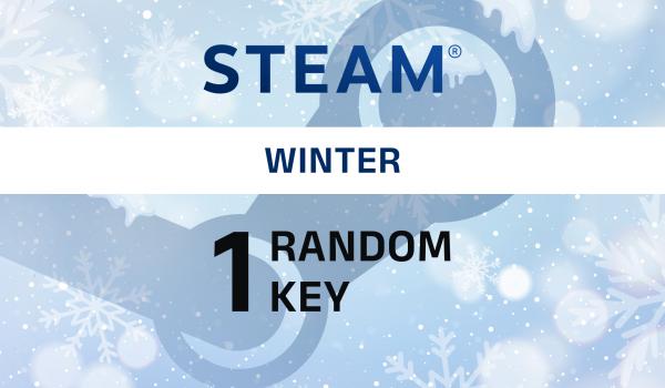 Random Winter 1 Key (PC)