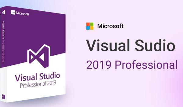 Microsoft Visual Studio 2019 Professional