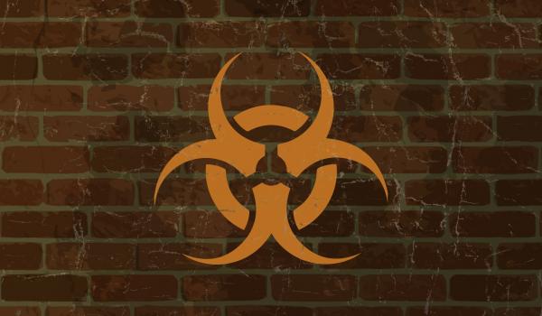 Rabiez: Epidemic (PC)
