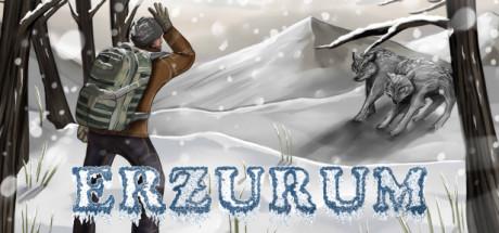 Erzurum (PC)