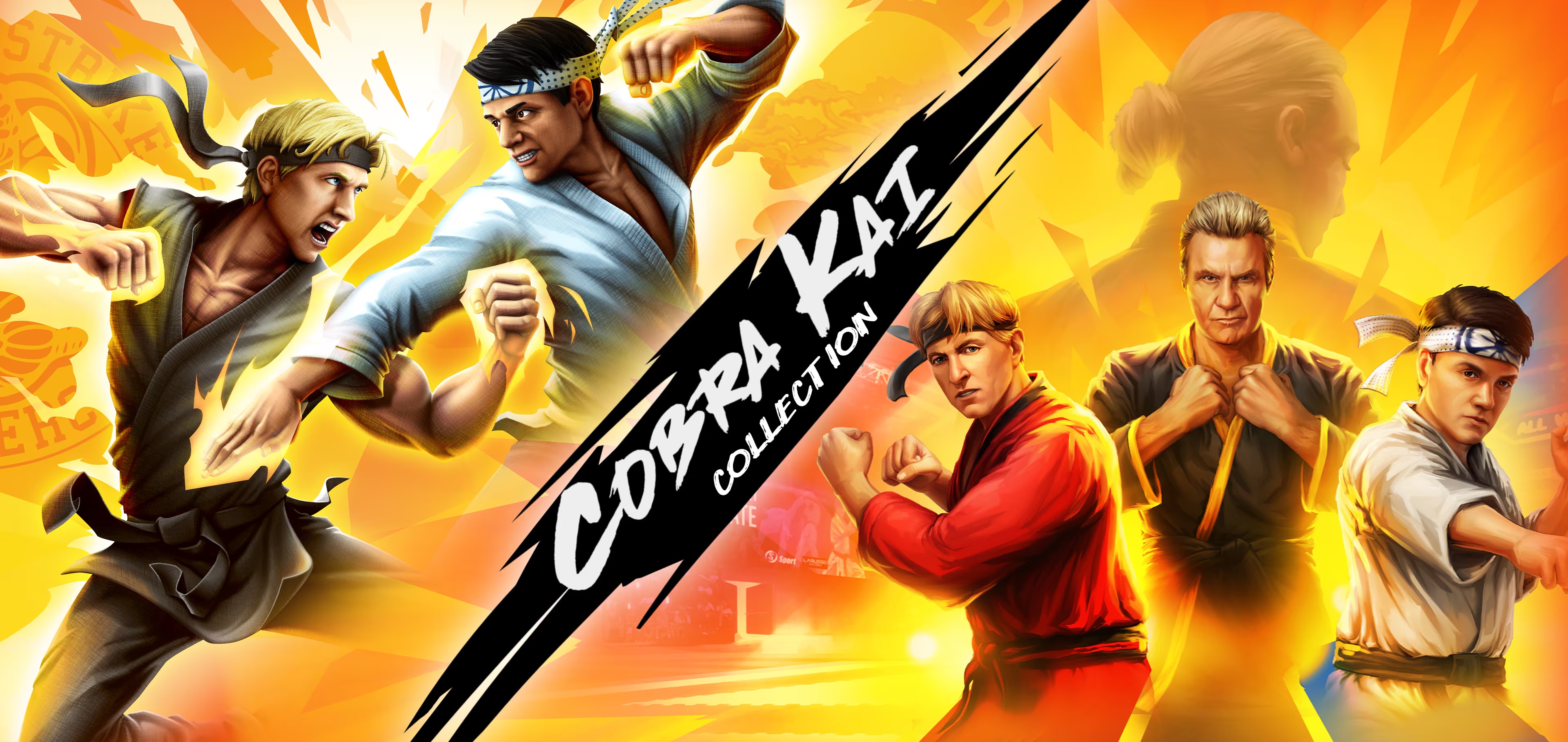 Cobra Kai Collection