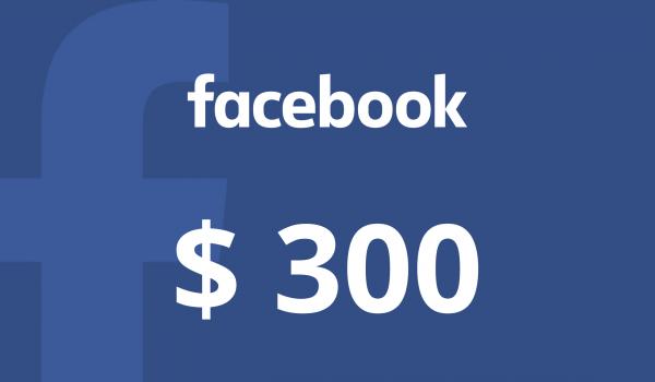 Facebook Gift Card 300 USD