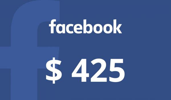 Facebook Gift Card 425 USD