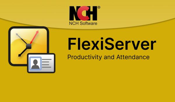 FlexiServer Productivity and Attendance