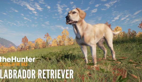 theHunter Call of the Wild Labrador Retriever DLC (PC)