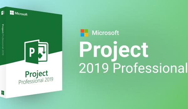 Microsoft Project 2019 Professional