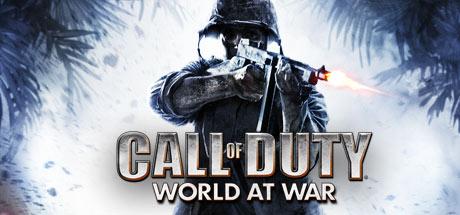 Call of Duty World at War (PC)