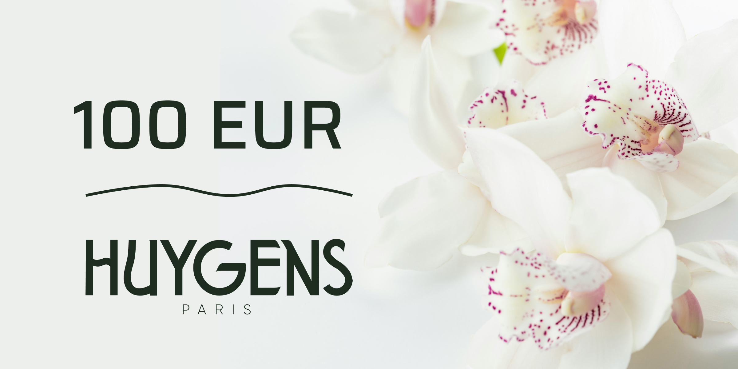 Huygens Gift Card 100 EUR