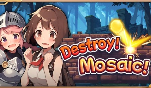 Destroy Mosaic (PC)
