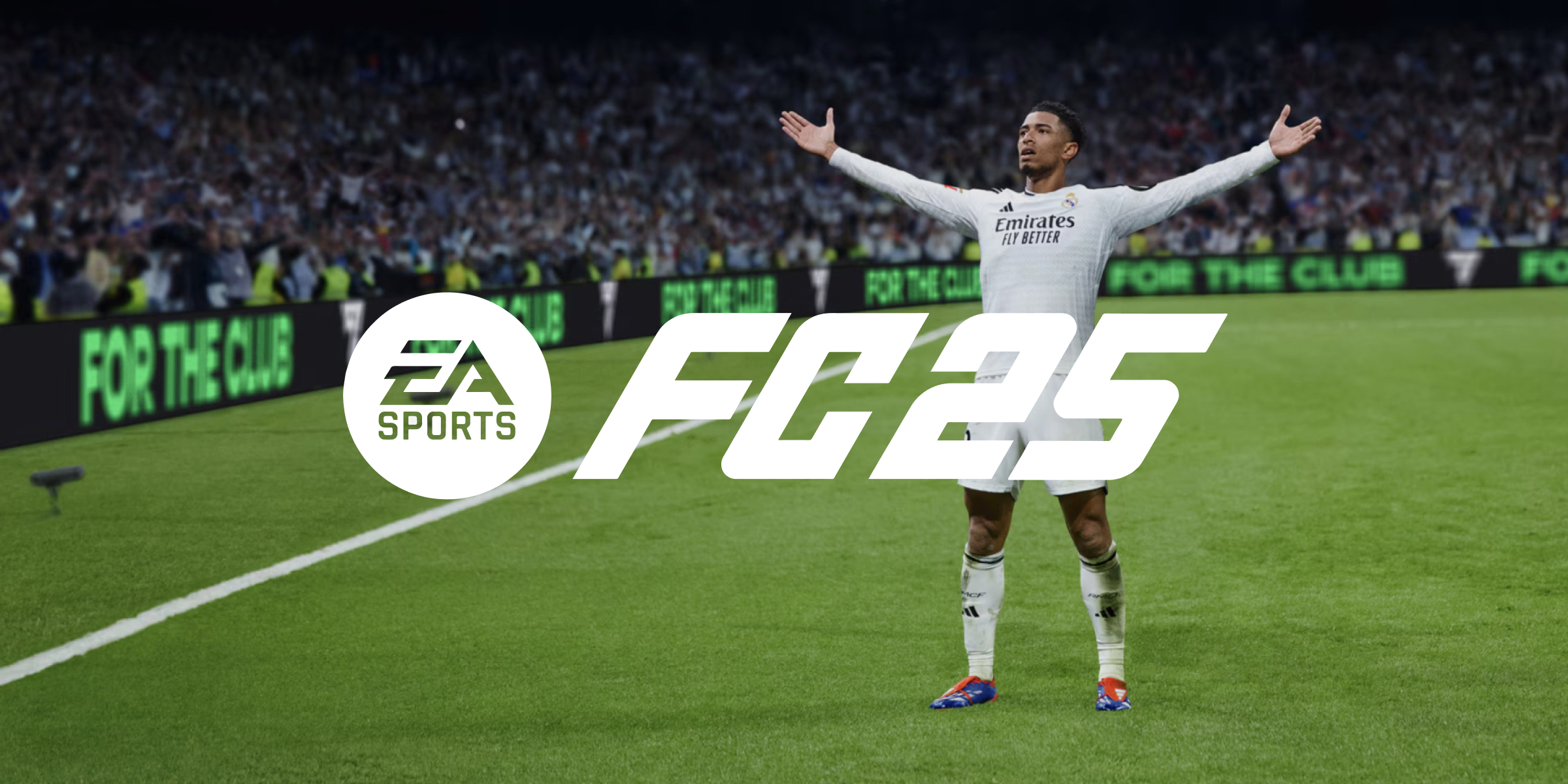 EA SPORTS FC 25 (PC)