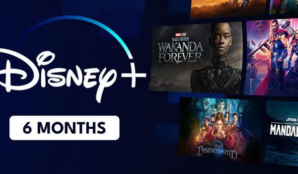 Disney Plus Account 6 Months