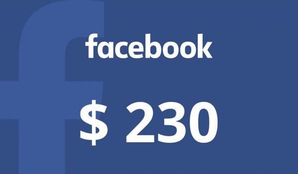 Facebook Gift Card 230 USD