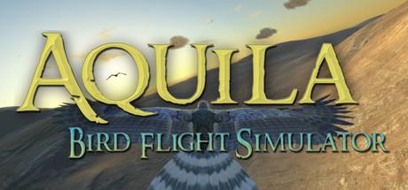 Aquila Bird Flight Simulator (PC)