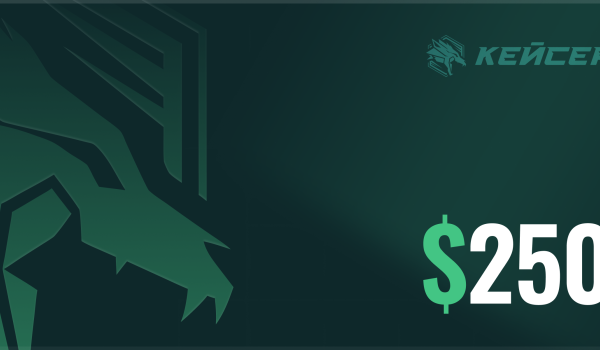 CASER Gift Card 250 USD