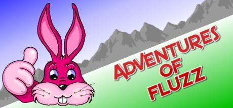 Adventures Of Fluzz (PC)