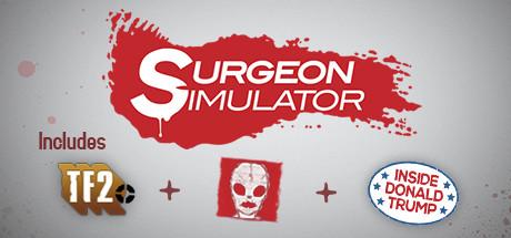 Surgeon Simulator 2013 (PC)
